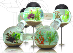 Werbung | Futuristisches Siverfish Aquarium für deine Fische