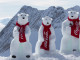 Werbung | Coca-Cola Polarbären auf der Zugspitze gesichtet