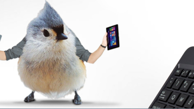 Modern Love Birds