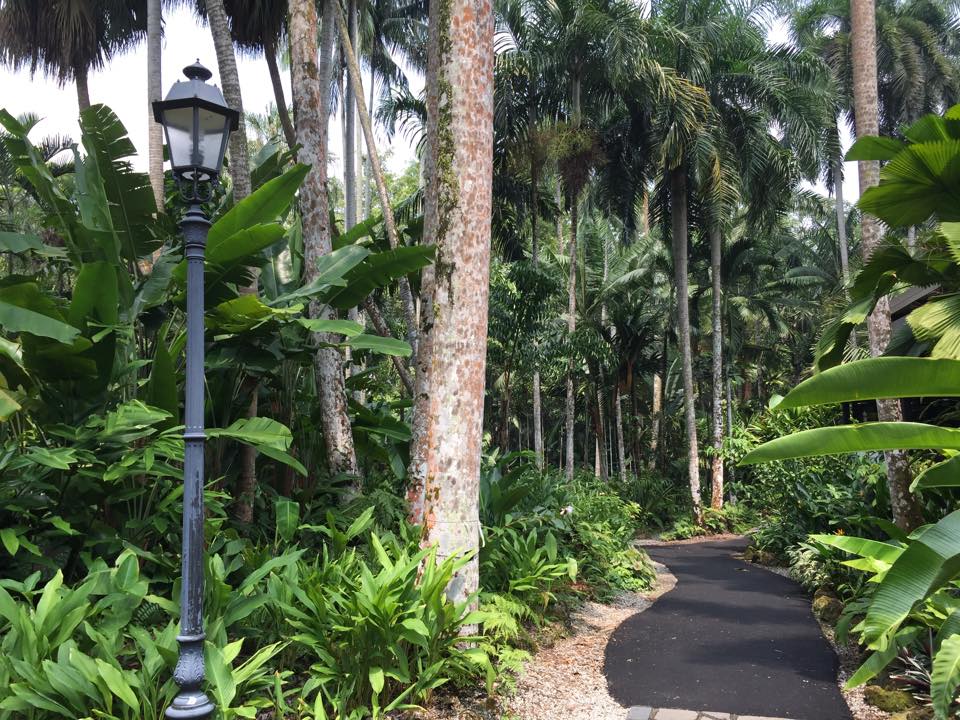 Werbung | Botanischer Garten Singapur - Die grüne Seele ...