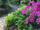 Botanischer Garten Singapur – Die grüne Seele der Metropole #‎CelebrateSG50‬