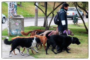 Werbung | Fotogalerie: Menschen und Gesichter #Bogota #Kolumbien