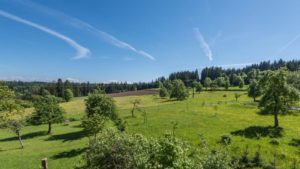 Urlaub mit Hund im Schwarzwald