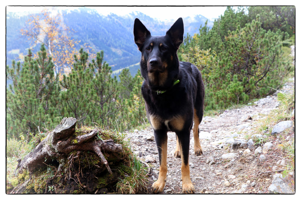 Urlaub am Hochkönig