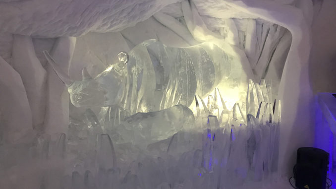 Iglu-Dorf Davos – Übernachtung inmitten von Schnee und Eis