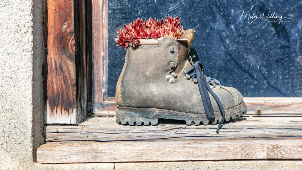 Werbung | Alpinum Schatzalp: Die Naturschätze rund um Davos mit allen Sinnen entdecken