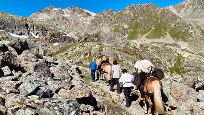 Säumerwanderung Via Valtellina