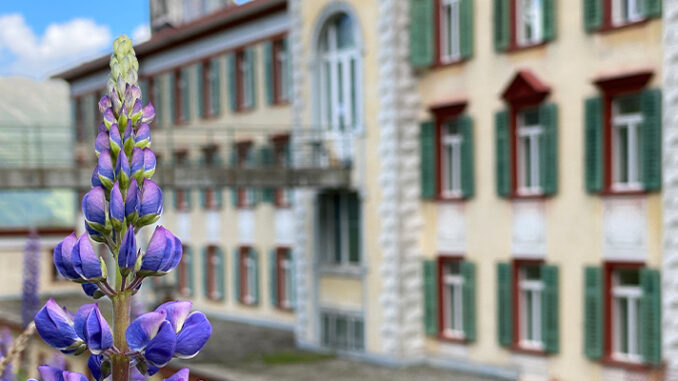 Werbung | Alpinum Schatzalp: Die Naturschätze rund um Davos mit allen Sinnen entdecken