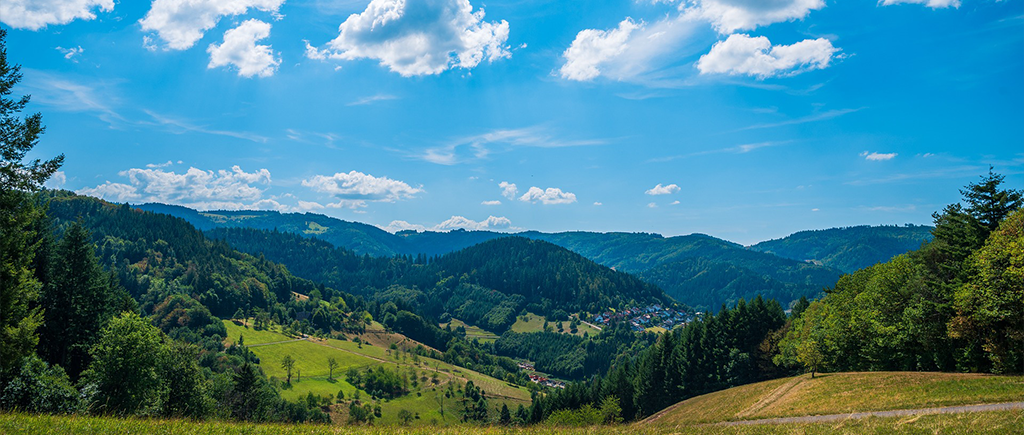 Urlaub im Schwarzwald