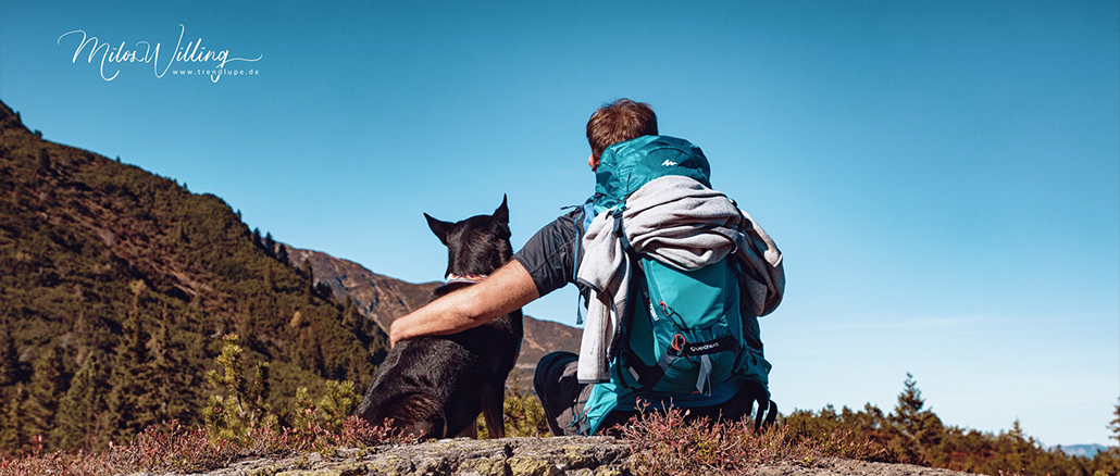 Reisen mit Hund - Tipps und Tricks für ein stressfreies Abenteuer!