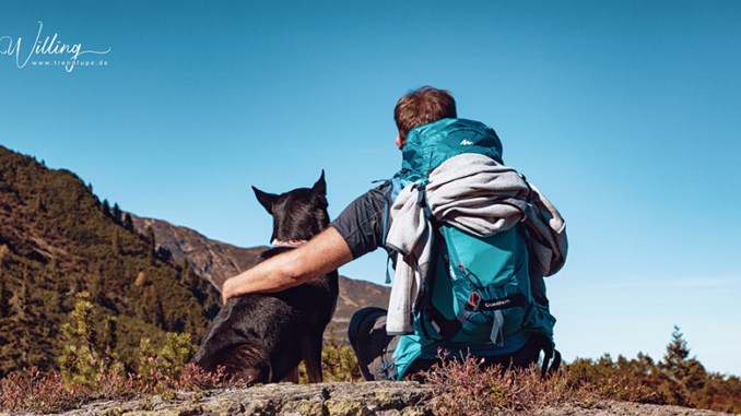 Reisen mit Hund - Tipps und Tricks für ein stressfreies Abenteuer!