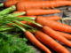 Feiere den Internationalen Tag der Karotte: Warum dieses Wurzelgemüse seinen eigenen Tag verdient
