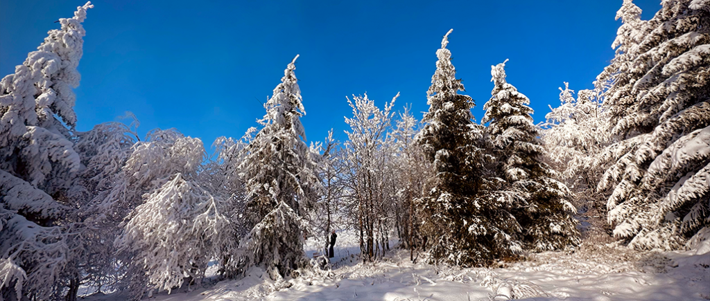 Winterwandern