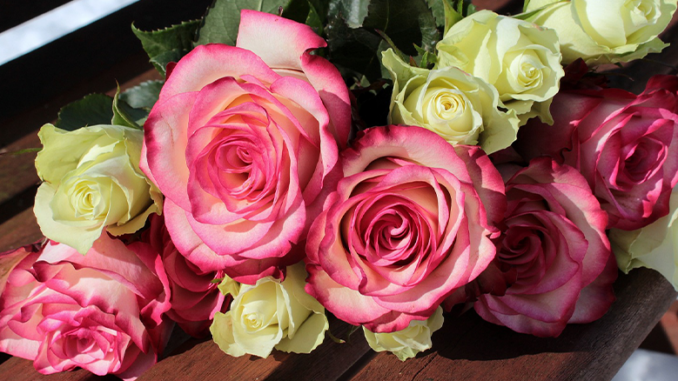 muttertagsgeschenke