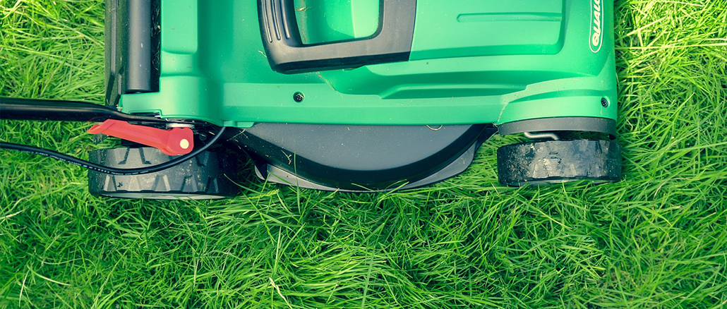 Moos, Unkraut und schlechtes Wachstum: Lösungen für deine 3 größten Rasenprobleme!