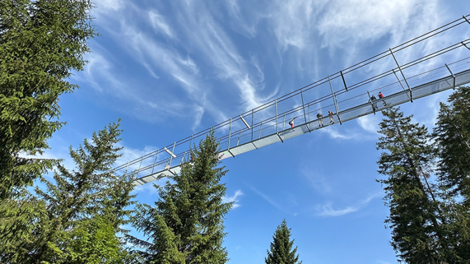 skywalk willingen
