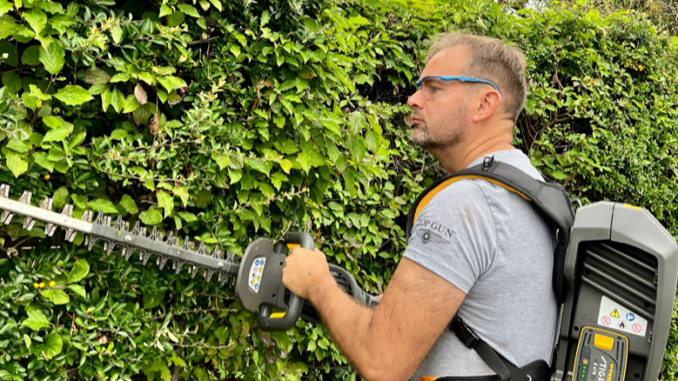 hecke schneiden