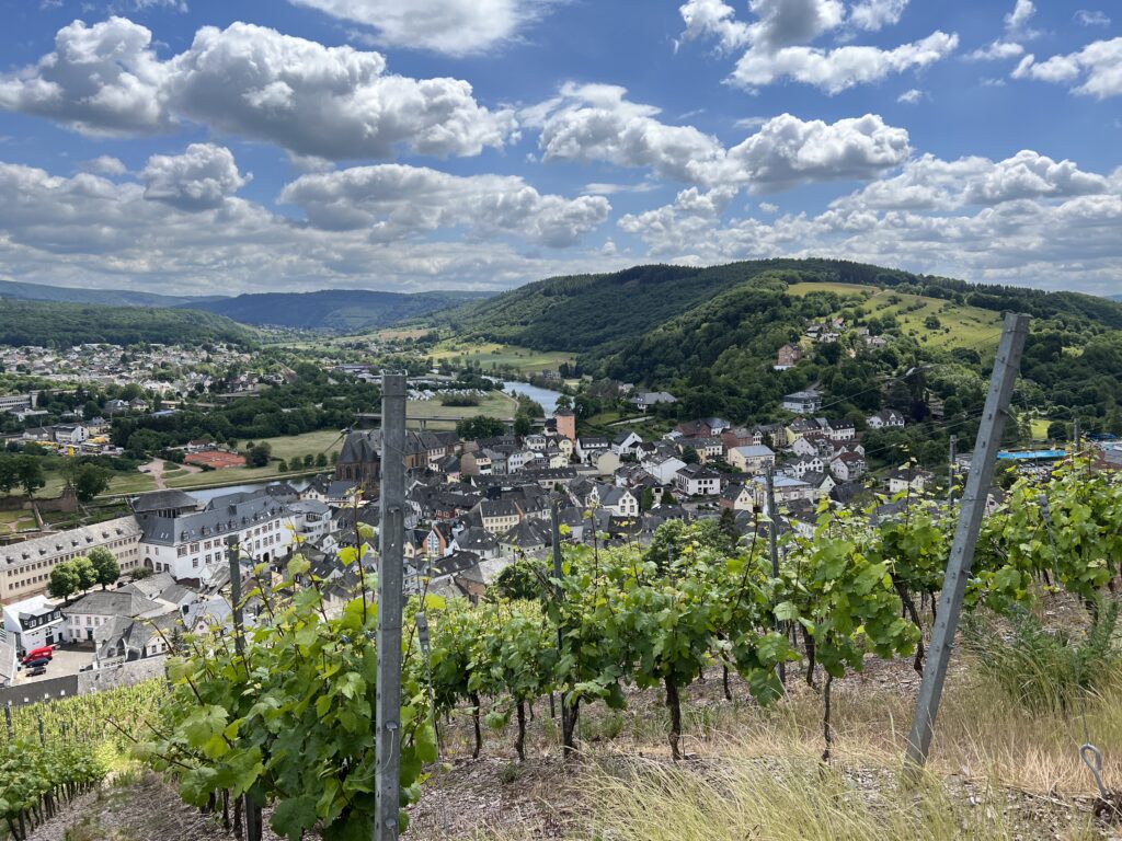 Moselsteig im Herbst