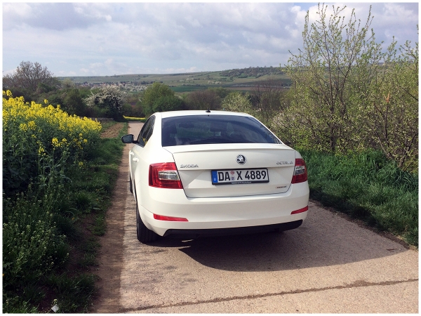 Skoda Greenline