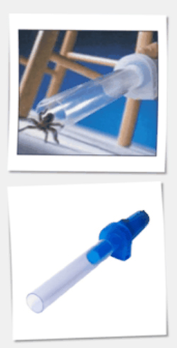 Bug Buster Bug Buster