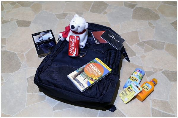 CokeOnTour